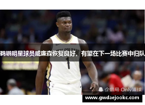鹈鹕明星球员威廉森恢复良好，有望在下一场比赛中归队