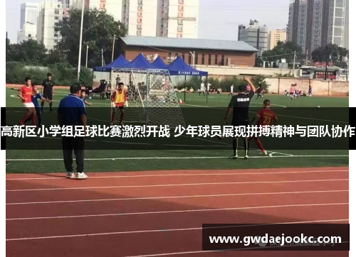 高新区小学组足球比赛激烈开战 少年球员展现拼搏精神与团队协作